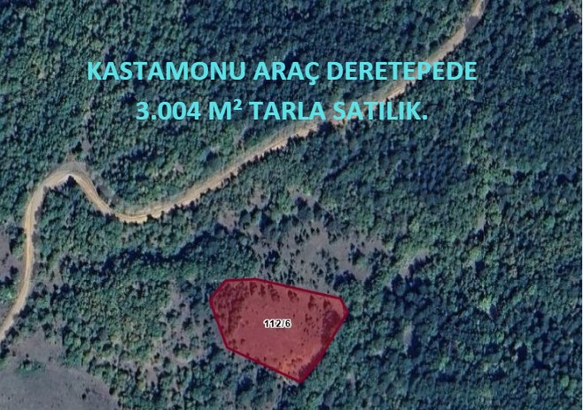 KASTAMONU ARAÇ DERETEPEDE 3.004 M² TARLA SATILIK. - KASTAMONU ARAÇ fotoğraf 6